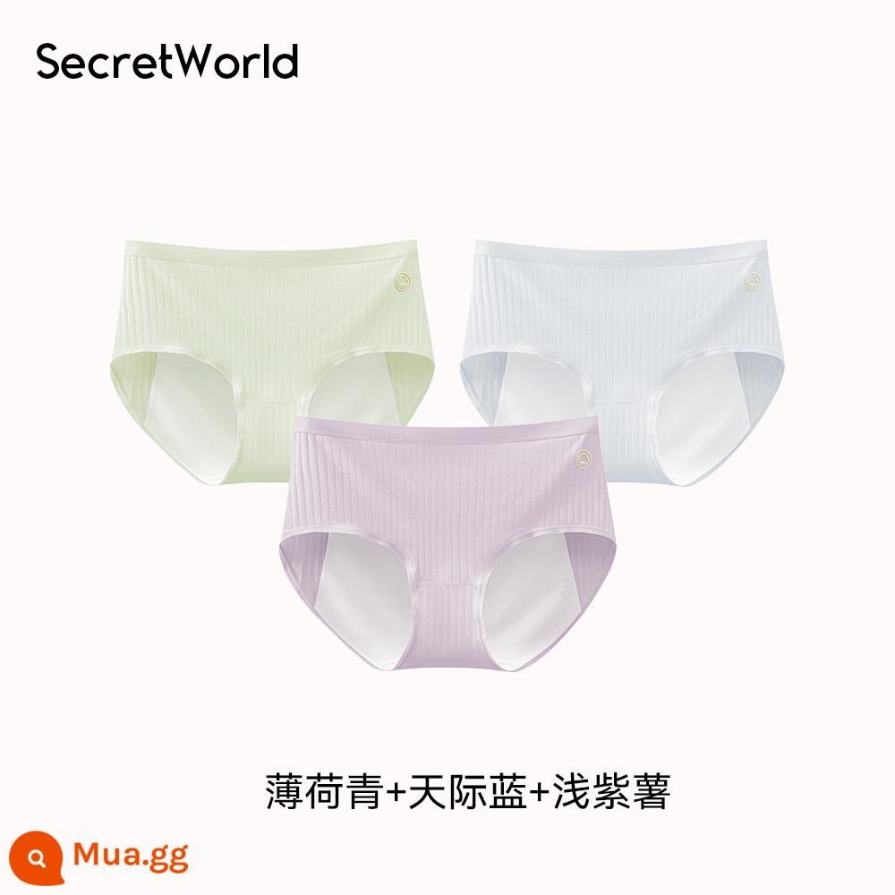 sw quần cotton sinh lý sw - Xanh bạc hà + Xanh da trời + Khoai lang tím nhạt 3 gói