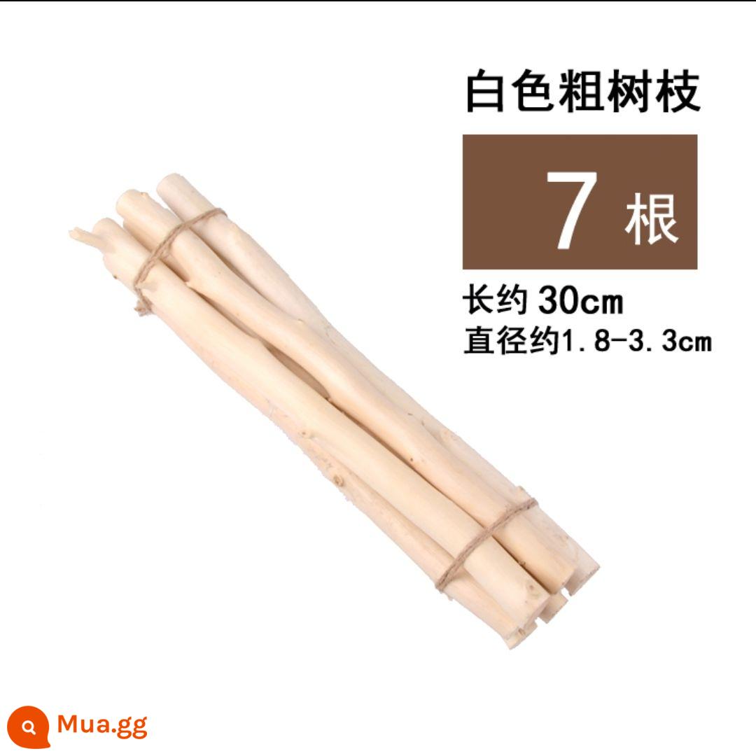 Khúc gỗ khô nhánh mẫu giáo handmade tự làm sáng tạo trang trí nhà cảnh bố trí phòng khách thanh gỗ nhỏ Sen Cục - Que gỗ trắng 30 cm 7 cái/bó