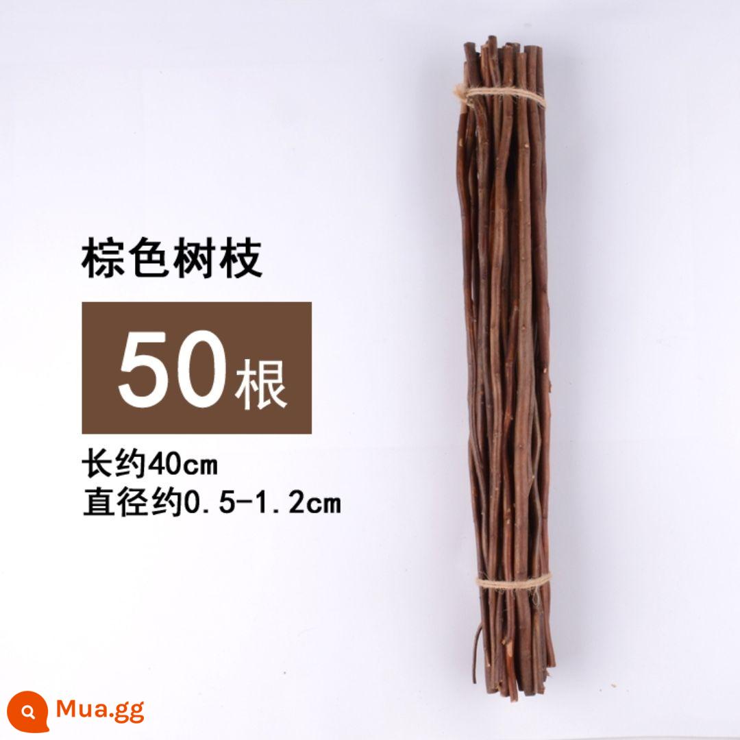 Khúc gỗ khô nhánh mẫu giáo handmade tự làm sáng tạo trang trí nhà cảnh bố trí phòng khách thanh gỗ nhỏ Sen Cục - Đoạn liễu nâu 40cm 50 cái/bó