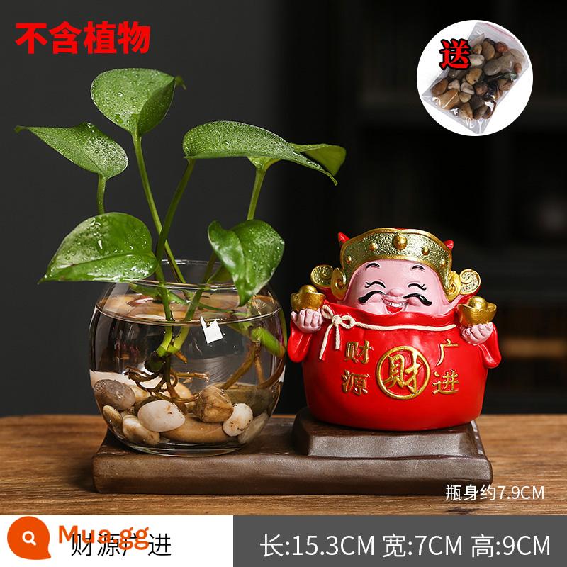 Sáng Tạo Thủy Canh Thần Tài Vàng Kudzu Bình Mini Cá Tính Nhỏ Hoa Vật Có Hoa Tàu Phòng Khách Trang Trí Văn Phòng Trang Trí - [Phiên bản mới] Caiyuan Guanjin (cỡ trung bình)