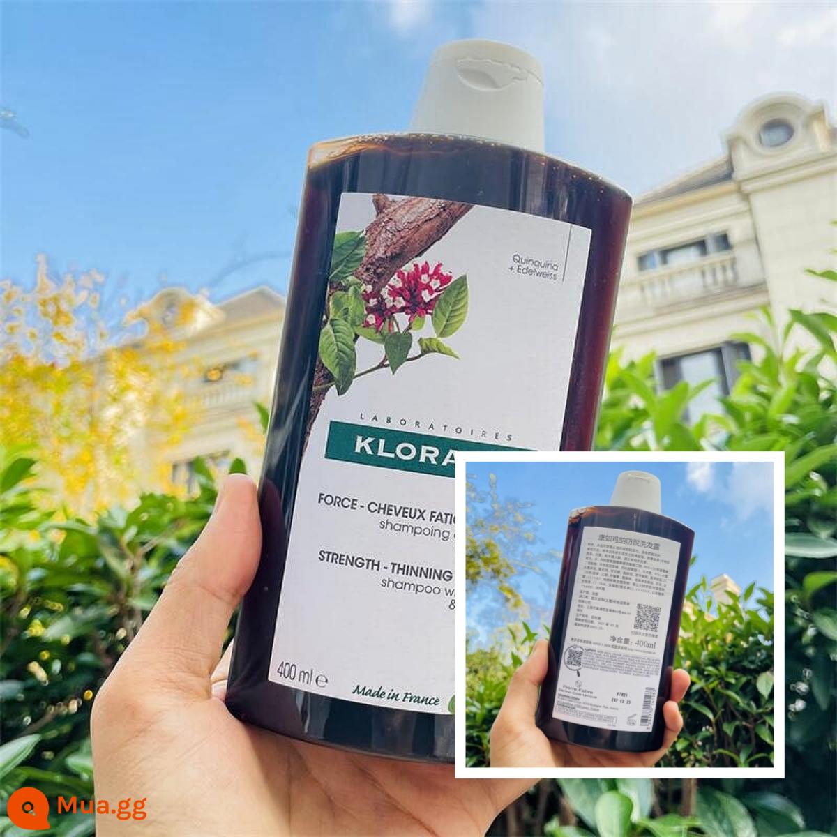 Kangru Quinine Cinchona Dầu gội dưỡng tóc chắc khỏe Chống rụng Tinh chất Xịt Hoa mẫu đơn Phức hợp Vitamin Dầu không chứa Silicon - Dầu gội chống rụng tóc Trung Quốc 400ml - hạn sử dụng 25 năm