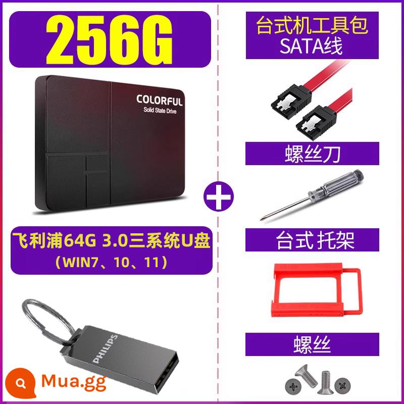 Ổ cứng thể rắn đầy màu sắc 500g 512g 1t máy tính để bàn máy tính xách tay giao diện sata3.0 ssd mới - 256GB [Đĩa U ba hệ thống 64G miễn phí + bộ cài đặt bốn phần]