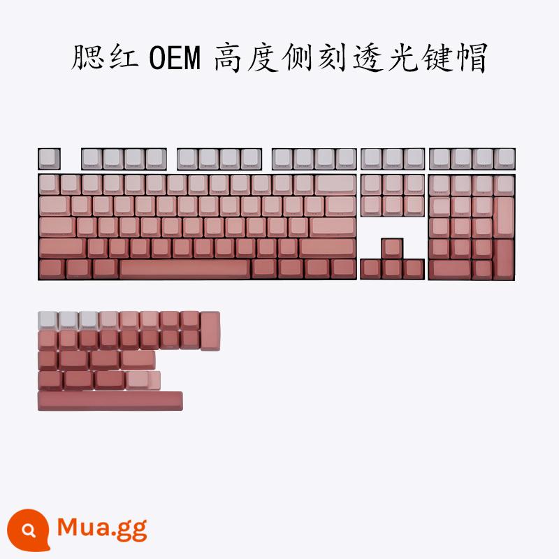 Thiết bị bên ngoài của Hafox Bụi keycap truyền ánh sáng PBT thăng hoa được khắc ở mặt bên được khắc từ chiều cao OEM keycap gradient trong suốt - Khắc mặt bên-OEM Keycaps có độ trong suốt cao 134 phím