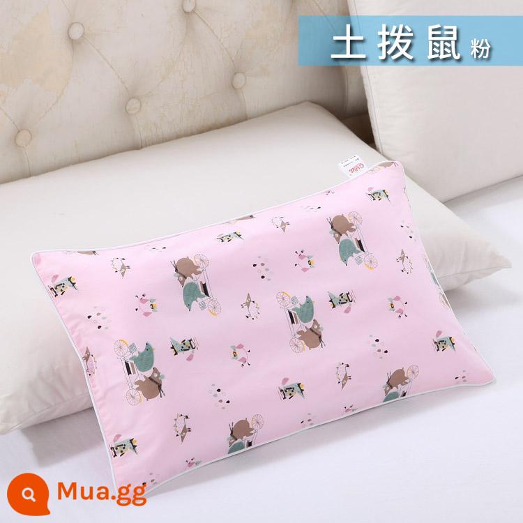 Nguyên chất cotton trẻ em Áo gối hoạt hình cotton cho bé học sinh mẫu giáo dây kéo áo gối nam nữ vỏ gối nhỏ dễ thương - Hồng đất xanh đậm