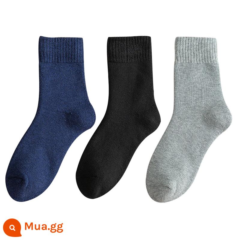 Vớ nữ ống giữa mùa thu và mùa đông cotton nguyên chất ins hợp thời trang ống dài màu đen nam mùa đông dày cộng với nhung ấm áp vớ - 3 đôi: xanh navy + đen + xám nhạt