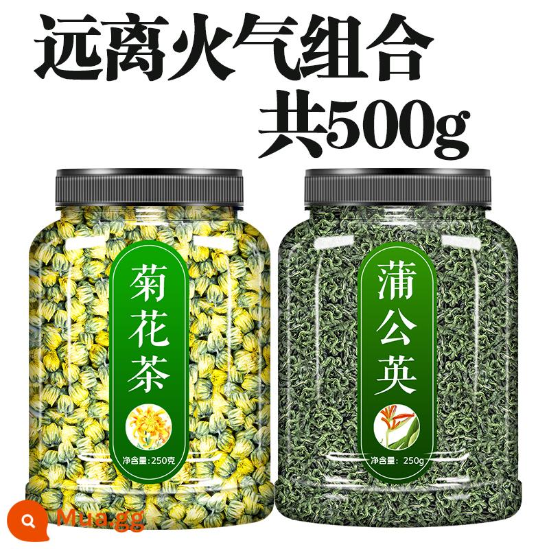 Trà hoa cúc thai nhi hoa cúc vua 500g Đồng Hương hoa cúc trắng loại đặc biệt hoa khô chính thức của cửa hàng flagship hoa cúc hoa cúc dại - [Kết hợp 2 lon] Trà hoa cúc + bồ công anh (tổng cộng 500g)