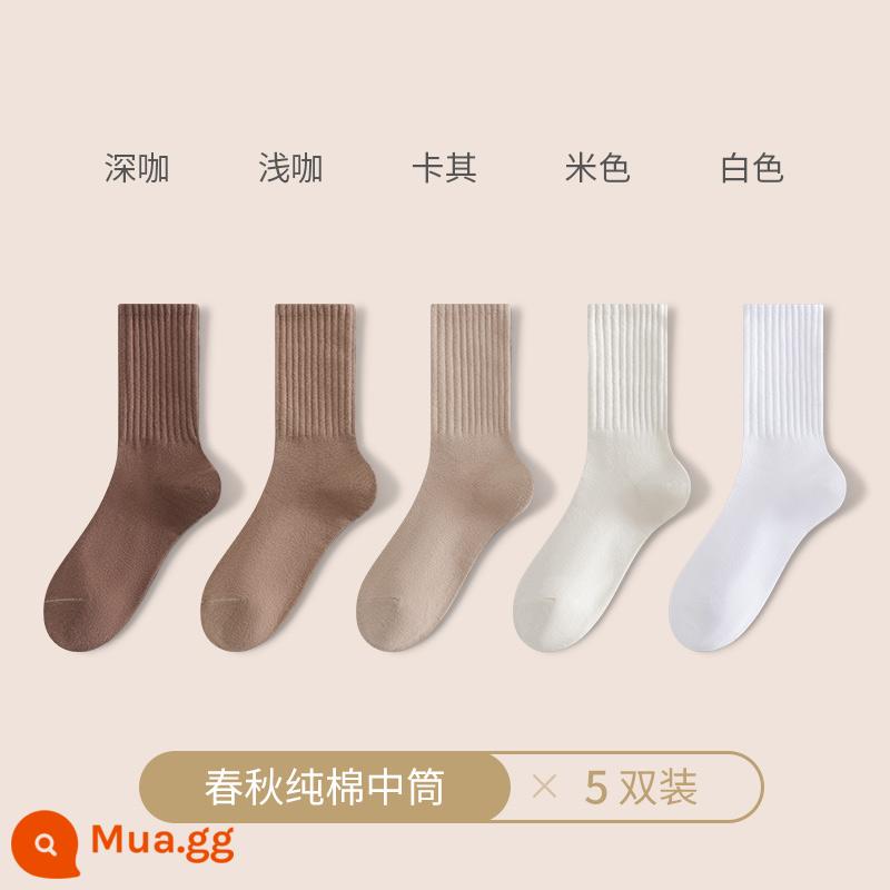 Vớ nữ mùa thu đông vớ ống giữa cotton nguyên chất vớ thể thao vớ nữ mùa đông cá mập quần kèm vớ vớ mùa đông - [Mẫu đồng màu] Cà phê đậm + cà phê nhạt + kaki + be + trắng