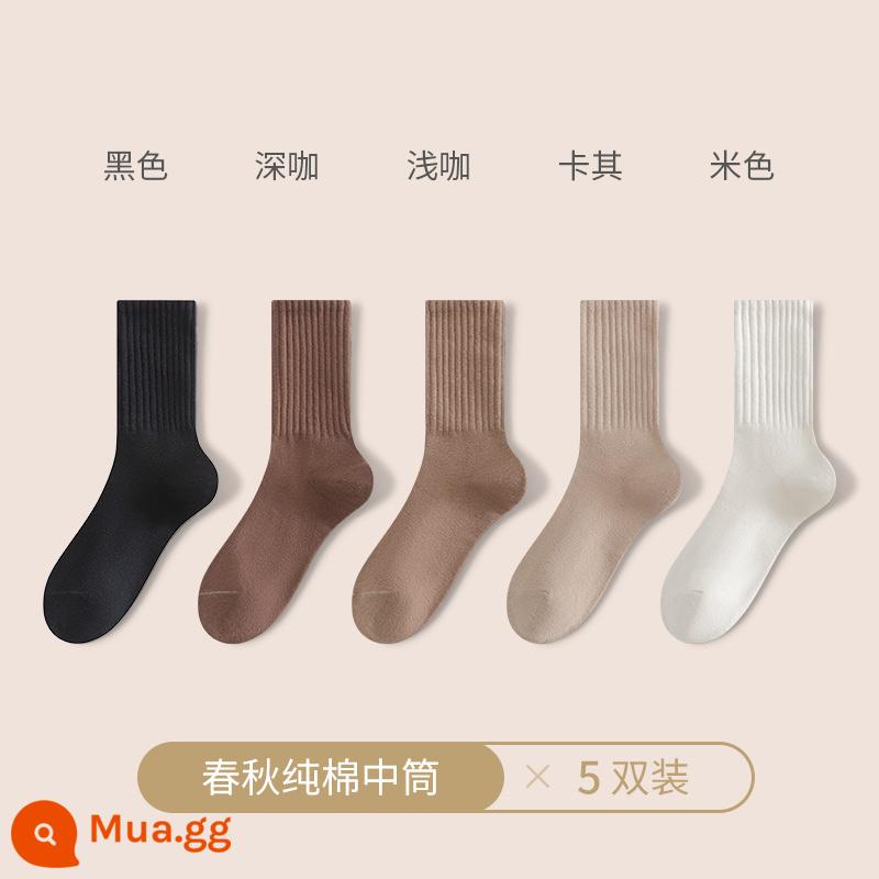 Vớ nữ mùa thu đông vớ ống giữa cotton nguyên chất vớ thể thao vớ nữ mùa đông cá mập quần kèm vớ vớ mùa đông - [Mẫu đồng màu] Đen + Cà phê đậm + Cà phê nhạt + Kaki + Màu be