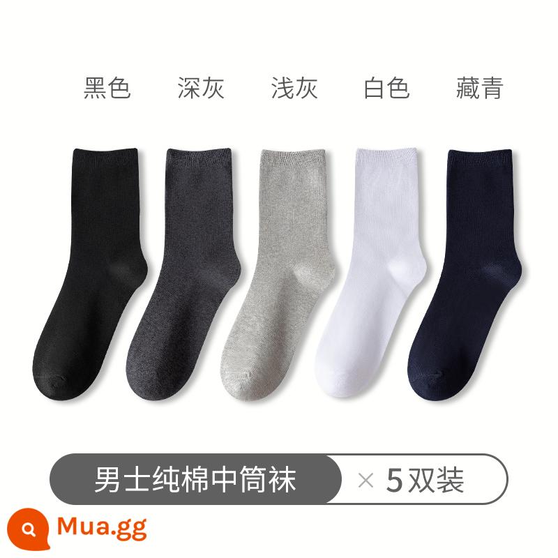 Tất Zhuji tất nam đến giữa bắp chân xuân thu cotton nguyên chất khử mùi và thấm hút mồ hôi tất cotton kinh doanh cotton đen dành cho nam giới - (Đen + Xám đậm + Xám nhạt + Trắng + Xanh nước biển)