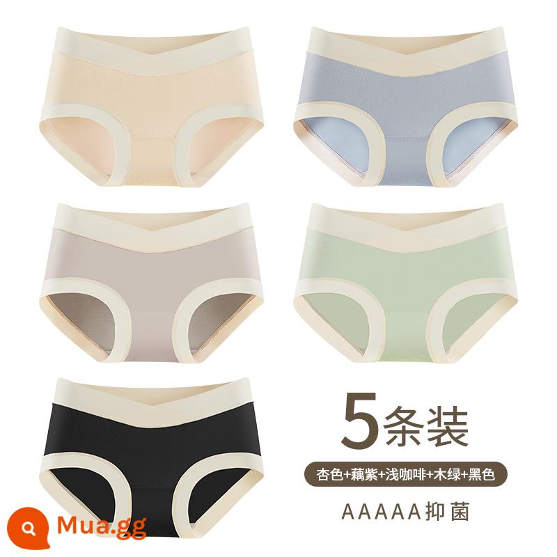 Yu Zhaolin Bộ Đồ Lót Cotton Nguyên Chất Đáy Quần Kháng Khuẩn Từ Giữa Đến Cuối Thời Kỳ Mang Thai Eo Thấp Hỗ Trợ Bụng Quần Short Tam Giác Đầu Modal - Mơ + củ sen tím + cà phê nhạt + xanh gỗ + đen