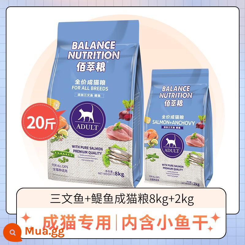 Thức ăn cho mèo Maifudi 2kg Thức ăn Baicui cho mèo trưởng thành nói chung 10kg tùy chọn cửa hàng hàng đầu 8kg chính thức 20 catties thức ăn chủ yếu túi lớn - Thức ăn cho mèo trưởng thành cá hồi + cá cơm 10kg (giao hàng thực tế 8kg + 2kg)