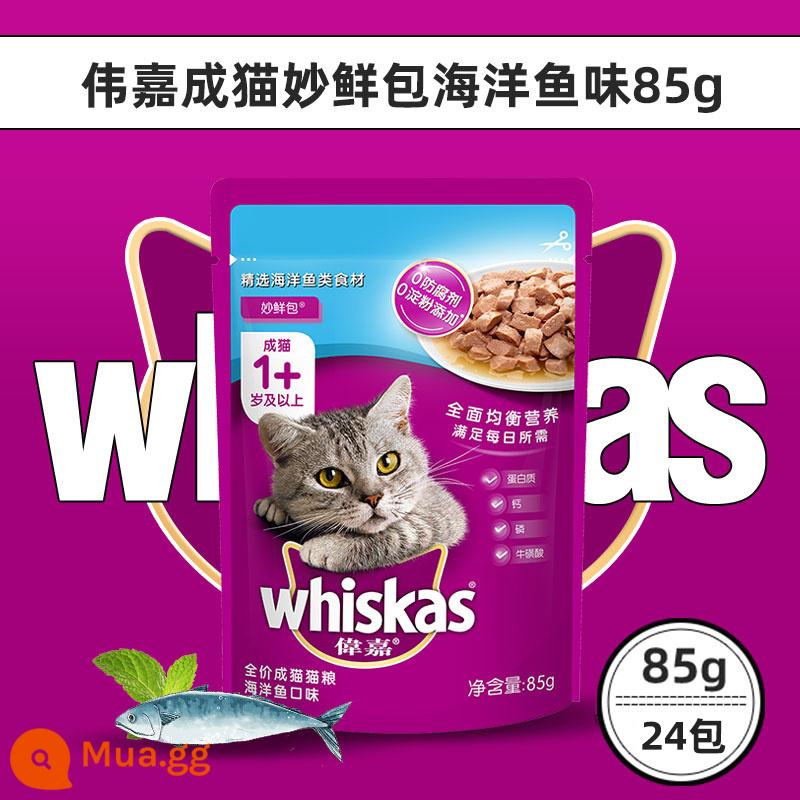 Mèo trưởng thành Weijia gói tươi tuyệt vời 12 gói dưỡng ẩm cho mèo tươi gói thức ăn ướt kín niêm phong đồ ăn nhẹ cho mèo thức ăn chủ yếu cho mèo thức ăn cho mèo Weijia đóng hộp - [24 gói kết hợp] Cá biển 85g*24 gói