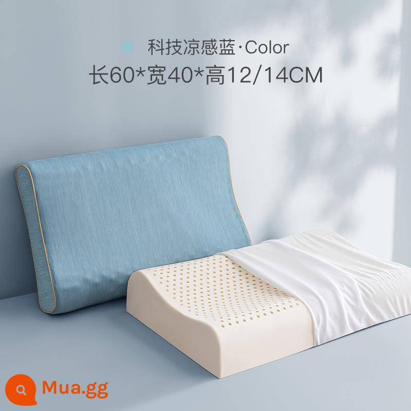 Cao Su Thái Áo Gối Đơn Cao Gối Áo Gối Đơn Người Lớn 60X40 Nhớ Cao Su Cotton Thoáng Mát Áo Gối Chần Gòn - Chỉ vỏ gối - 60 * 40 * 12/14 [vỏ gối màu xanh mát kỹ thuật] - gói đơn