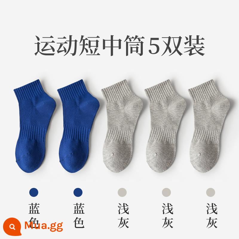 Vớ Zhuji nam mùa đông vớ ống giữa cotton nguyên chất thấm hút mồ hôi vớ cotton ấm vớ bông mùa đông vớ nam - Thùng ngắn (2 xanh + 3 xám nhạt)