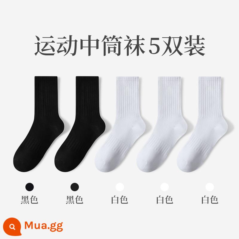 Vớ Zhuji nam mùa đông vớ ống giữa cotton nguyên chất thấm hút mồ hôi vớ cotton ấm vớ bông mùa đông vớ nam - Ống dài (2 đen + 3 trắng)