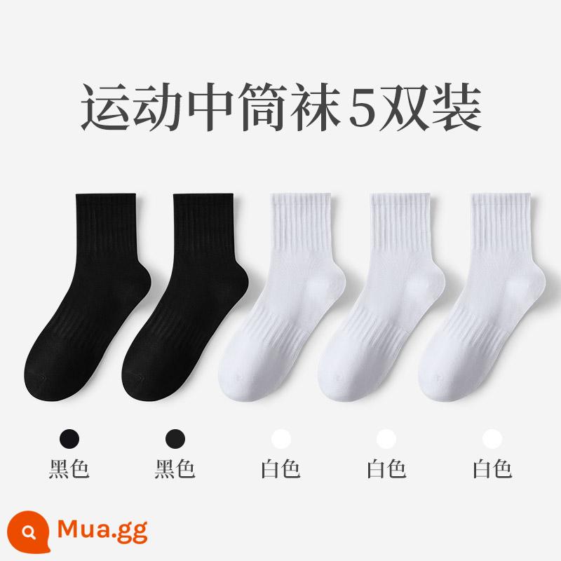 Vớ Zhuji nam mùa đông vớ ống giữa cotton nguyên chất thấm hút mồ hôi vớ cotton ấm vớ bông mùa đông vớ nam - Thùng vừa (2 đen + 3 trắng)