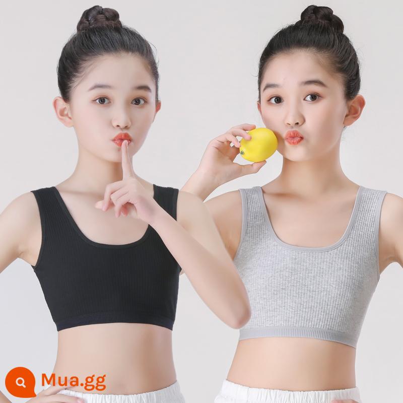 Đồ lót bé gái áo vest sling phát triển sớm cotton nguyên chất chống lồi ống áo ngực bé gái học sinh trung học cơ sở 8-16 tuổi - Xám + đen [hai mảnh]