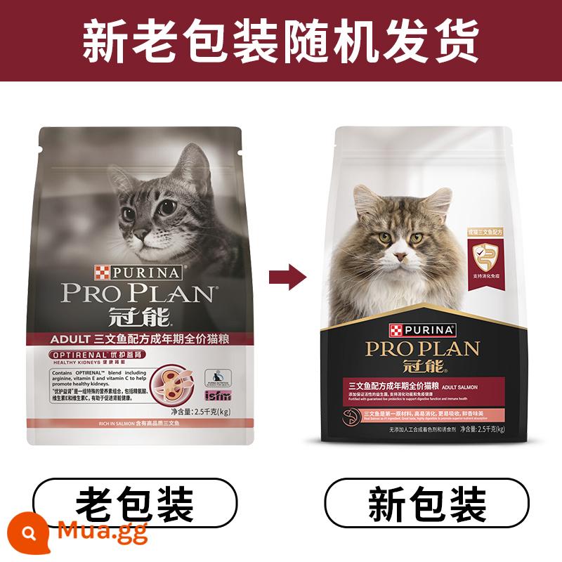 Thức ăn cho mèo Guanneng 2,5kg/7kg thức ăn cho mèo trong nhà giá đầy đủ dành cho mèo trưởng thành và mèo con, mèo xanh ngắn vỗ béo 5 pound - Cá hồi mèo trưởng thành 2,5kg