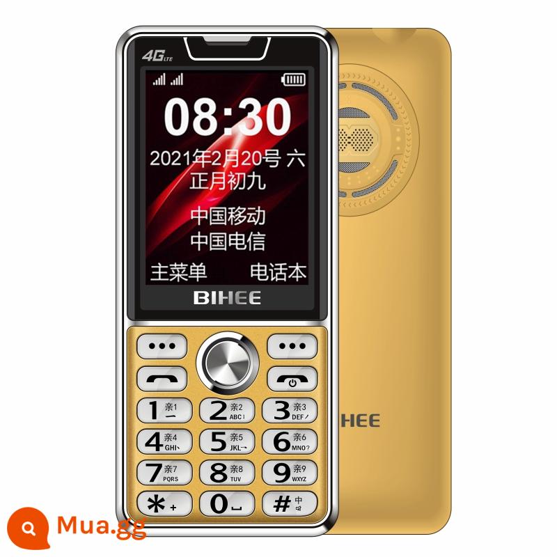 Lily A16 Đài phát thanh và truyền hình Trung Quốc Mobile Unicom Telecom 4G đầy đủ Netcom Nút điện thoại di động dành cho người cao tuổi ở chế độ chờ siêu dài - Golden Full Netcom 4G Flagship/Màn hình 2.6/Nút pha lê/Vỏ bảo vệ điện thoại di động