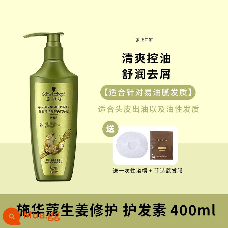 Còn hàng Dầu gội Schwarzkopf làm căng mọng, làm dai, kiểm soát dầu, tạo bọt, phục hồi đa tác dụng, làm mềm mượt, cải thiện tóc xoăn, gừng - Dầu xả Ginger Jingche Oil Control 400ml [Thích hợp cho tóc nhờn và gàu]