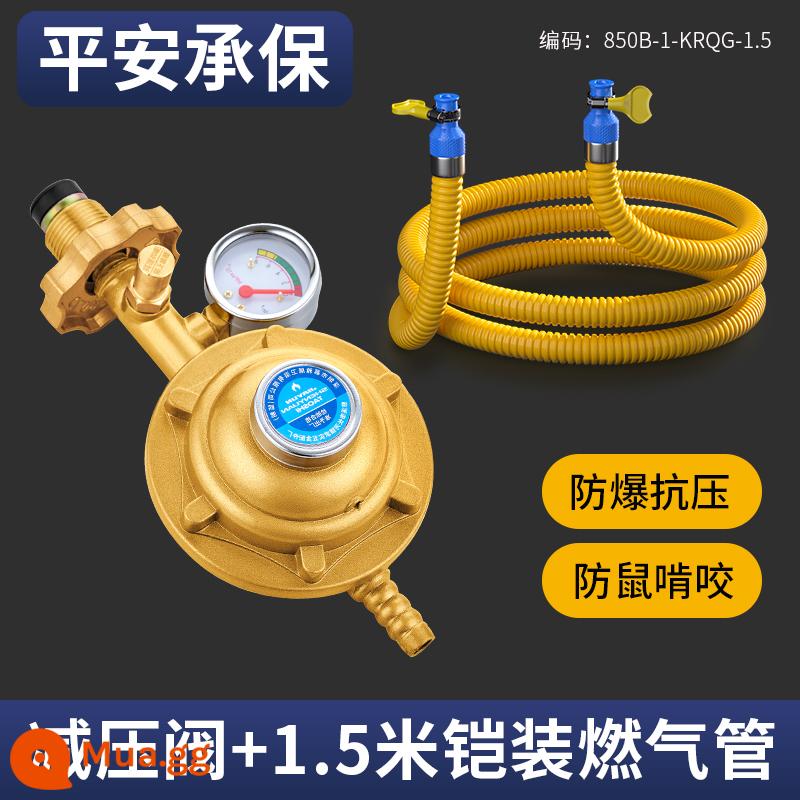 Ống gas gia dụng ống gas gas hóa lỏng lò gas chống cháy nổ ống nối kim loại thép không gỉ đặc biệt - Bảo hiểm Ping An [Gói 2] Van giảm áp chống cháy nổ + Ống dẫn khí bọc thép 1,5 mét