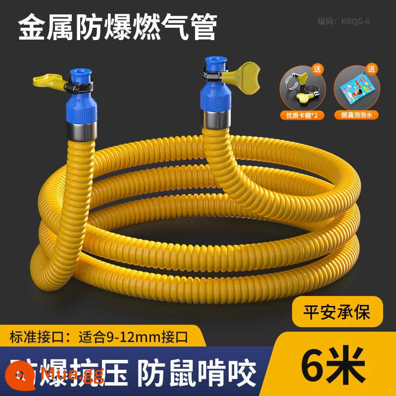 Ống gas gia dụng ống gas gas hóa lỏng lò gas chống cháy nổ ống nối kim loại thép không gỉ đặc biệt - Mới nâng cấp 6 mét [hữu ích cho cuộc sống]