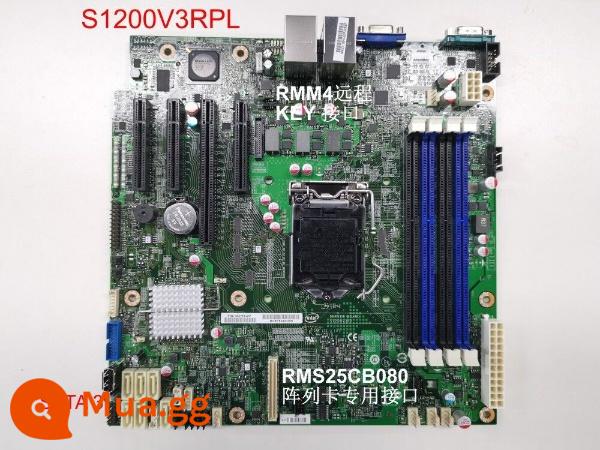 Bo mạch chủ máy chủ Intel S1200V3RPS RPO RPL RPM chip C222 mới E3-1200V4 - S1200V3RPL