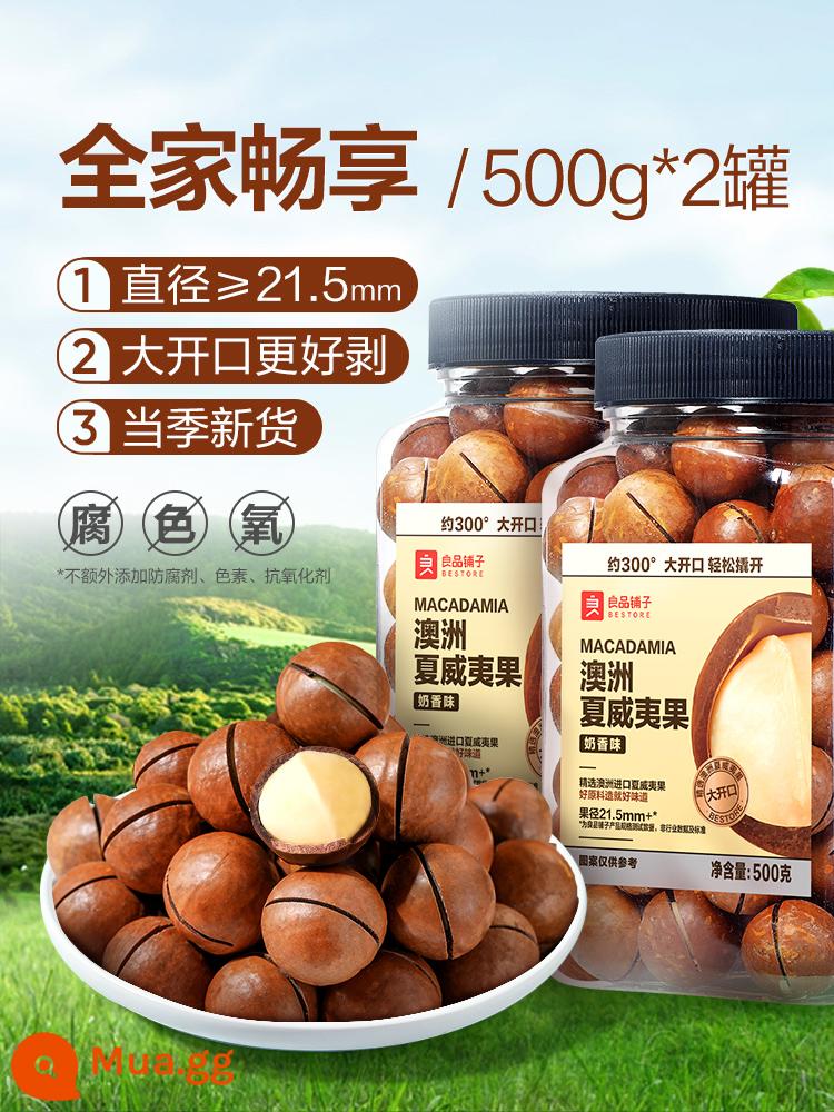 [BESTORE-Hạt Macadamia đóng hộp 500g] Trái cây sấy khô vị sữa Phụ nữ mang thai Các loại hạt sấy khô Món ăn vặt năm mới - [2 lon - hạt lớn] Hạt Macadamia 500g × 2 lon (đường kính 21.5-24mm)