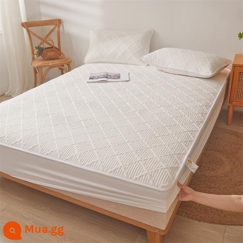 Ga trải giường cotton vừa vặn 2023 tấm phủ giường mới chống bụi bao gồm tất cả nệm chống trượt túi ngủ Simmons vỏ bảo vệ - Tấm trải giường vừa vặn CLM-Màu trắng nguyên bản [Túi đựng giường chống trượt Bao phủ toàn bộ]