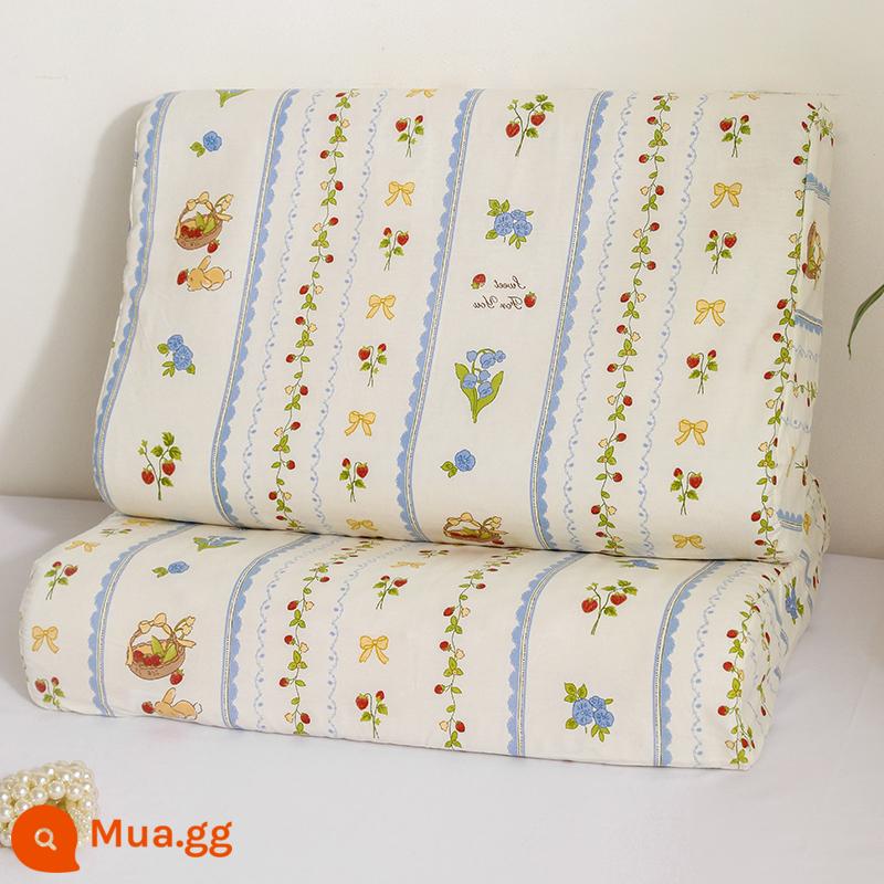 Vỏ gối cao su cotton, cặp vỏ gối cotton nguyên chất, vỏ gối trí nhớ đơn 30x50 hộ gia đình trẻ em 2 - ZTM Strawberry Garden [Vỏ gối cao su 100% cotton gói đơn]