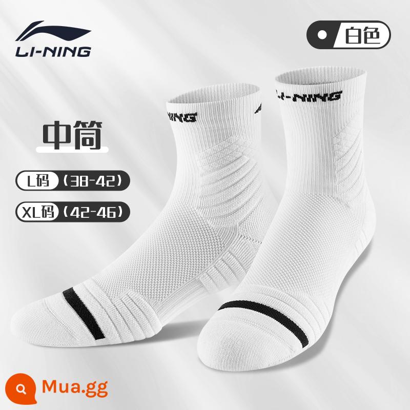 Vợt bóng rổ chuyên nghiệp Li Ning vớ khăn dưới giữa ống thể thao chạy bộ cầu lông ưu tú nam Mỹ chống trượt mùa hè - [Một đôi] Tất trắng vừa tiêu chuẩn