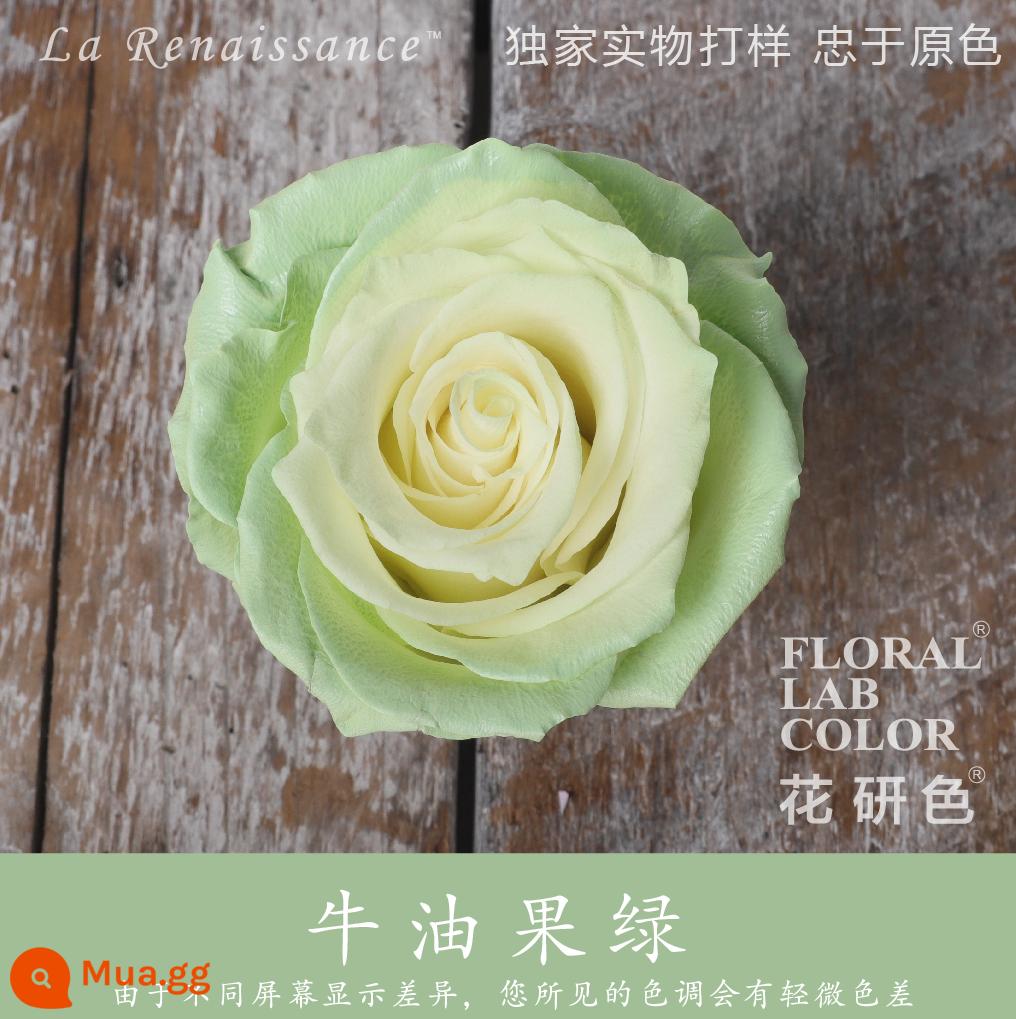 Flower Research color phun sơn phun màu đại lý thuốc nhuộm tóc chính hãng Michigan crush ice blue cao cấp màu Morandi - Bơ Xanh R010#