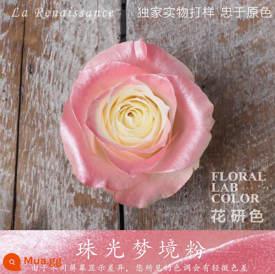 Flower Research color phun sơn phun màu đại lý thuốc nhuộm tóc chính hãng Michigan crush ice blue cao cấp màu Morandi - Bột Giấc Mơ Ngọc Trai® 55#