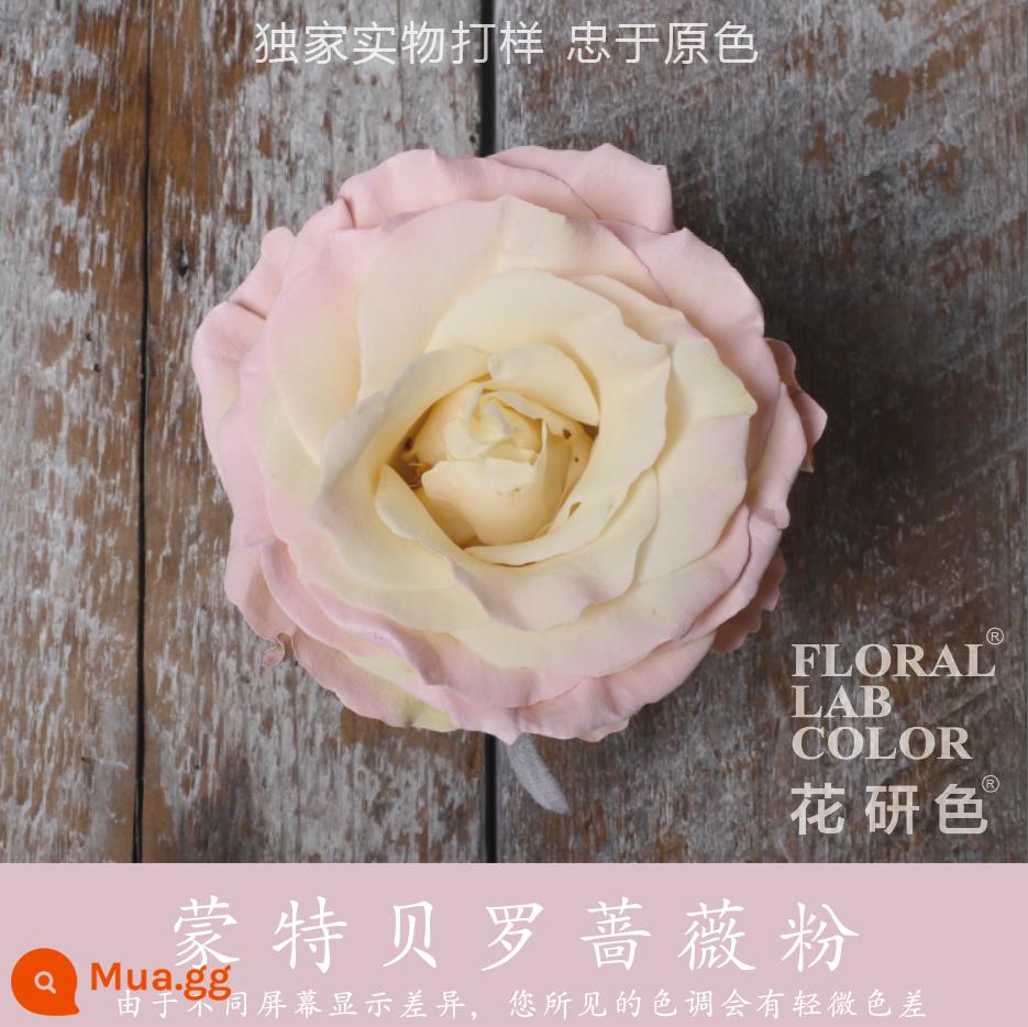 Flower Research color phun sơn phun màu đại lý thuốc nhuộm tóc chính hãng Michigan crush ice blue cao cấp màu Morandi - Bột hoa hồng Montebello® 04#