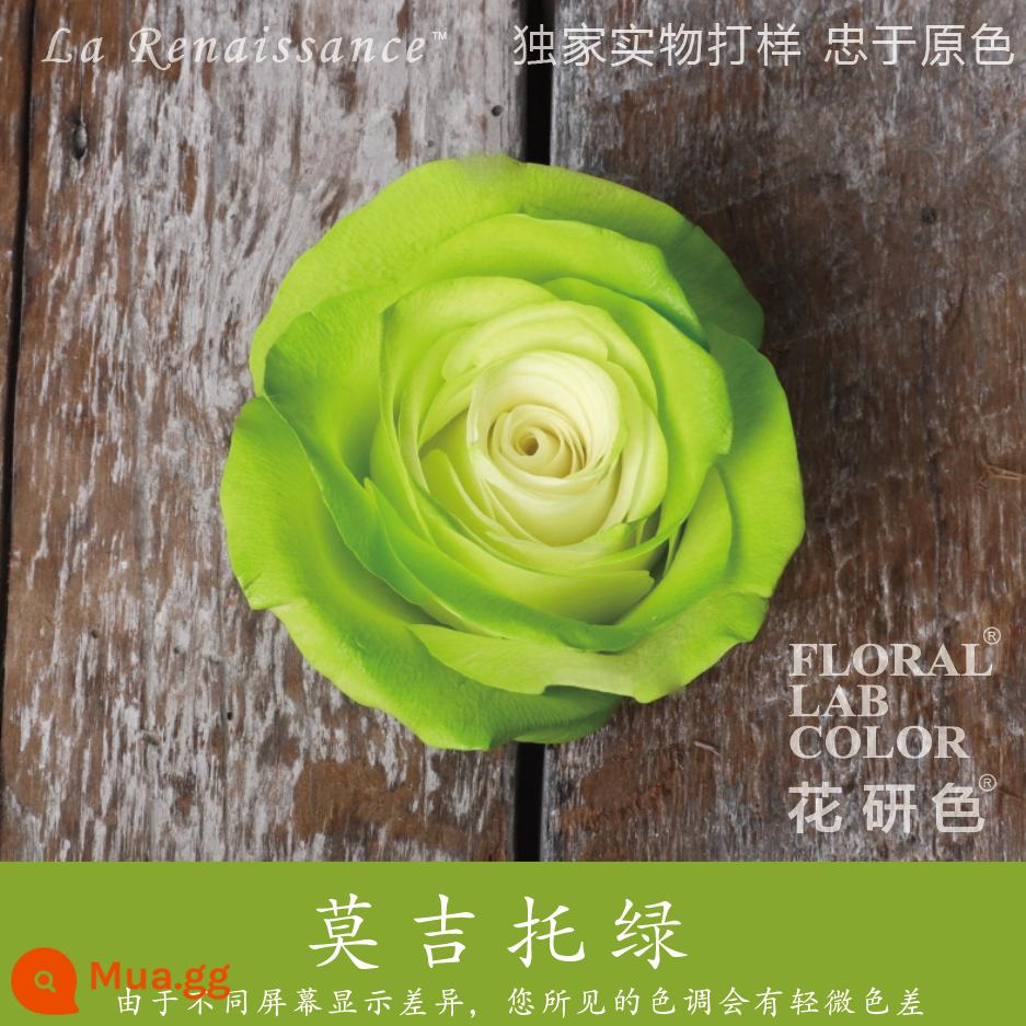 Flower Research color phun sơn phun màu đại lý thuốc nhuộm tóc chính hãng Michigan crush ice blue cao cấp màu Morandi - Xanh 62# mojito xanh