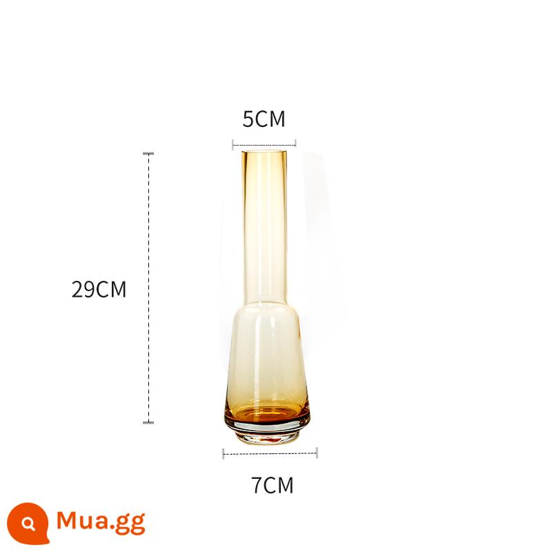 Hiện đại tối giản bình thủy tinh hình học bồ hóng phong cách châu Âu nhà phòng khách bàn ăn mô hình phòng cắm hoa thủy canh trang trí - Y223329 Hổ phách