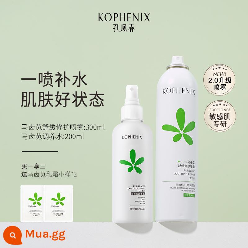 Xịt dưỡng ẩm Kong Fengchun Purslane làm dịu da nhạy cảm Toner dưỡng ẩm Lotion Lotion nước chăm sóc da dành cho nữ sinh - 500ML (300ml2.0+200ml) Xịt 2.0