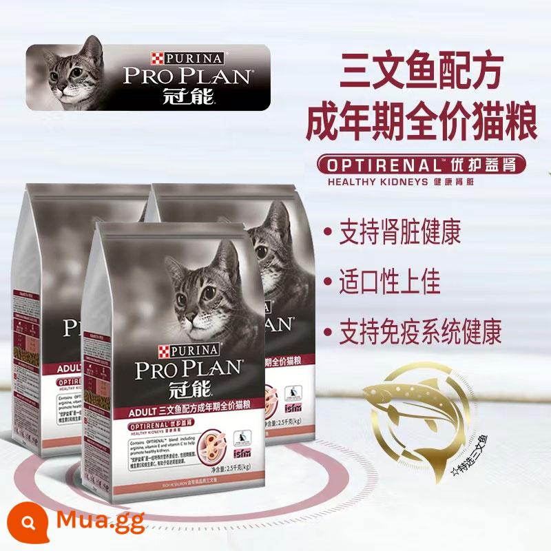 Thức ăn cho mèo Guanng 7kg vào Cat Diều Phòng Thịt Cat Salmon Anh và Mỹ ngắn Thực phẩm Staple 2,5kg chính thức - [Tặng 82/gói] Thức ăn cá hồi trưởng thành cho mèo 2,5kg*3 gói (thời hạn sử dụng 24 năm 4)