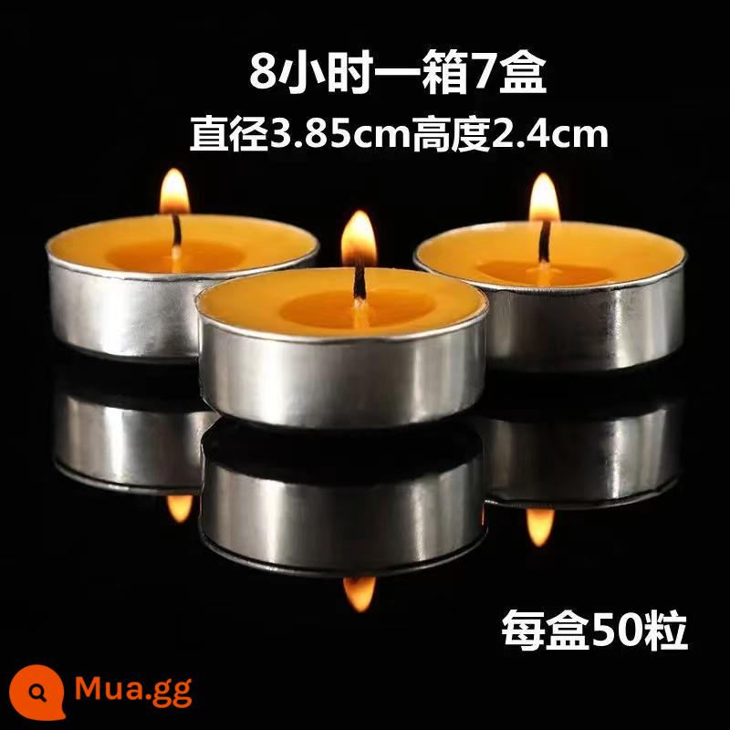 4 giờ 108 viên vỏ nhựa trong suốt vỏ bảo vệ nến ghee không khói nến hộ gia đình luôn sáng đèn cho Phật Sư đèn dầu - Vàng-8 giờ (50 viên)-1 hộp