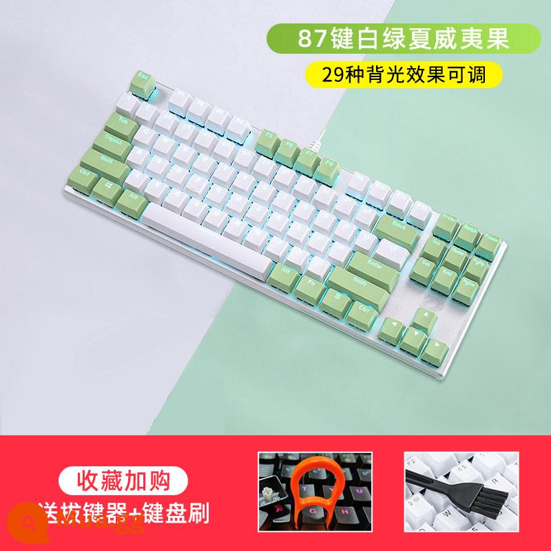 Daryou EK815 Cáp hợp kim cơ học E -Sports Bàn phím cơ học Metal Office Office General - Phím trắng xanh-87