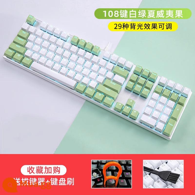 Daryou EK815 Cáp hợp kim cơ học E -Sports Bàn phím cơ học Metal Office Office General - Phím trắng xanh-108