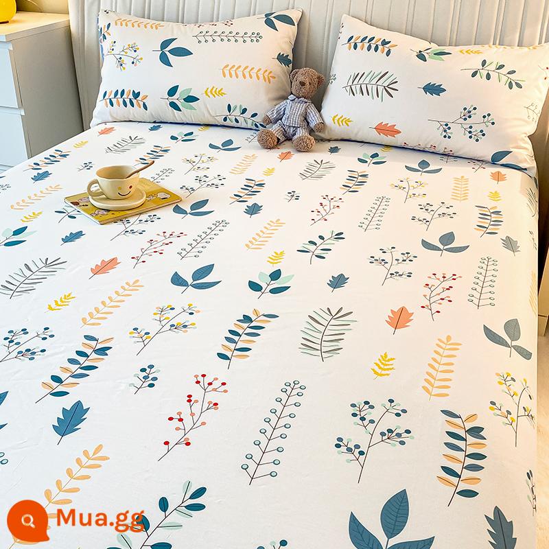 Mùa hè cotton nguyên chất 100 tấm đơn giường đôi 1,8 mét cotton đơn tấm chăn 2 vỏ gối bộ ba mảnh 1,5 mét - nhiều nắng