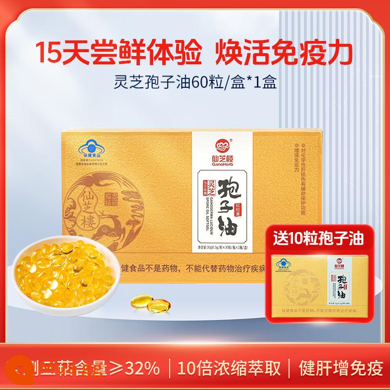 Triterpenes cao] Xianzhilou Ganoderma dầu bào tử viên nang mềm 60 viên bột bào tử không phải Ganoderma chính thức của cửa hàng hàng đầu - 10 lần đậm đặc↑] 60 viên*1 hộp (miễn phí 10 viên)