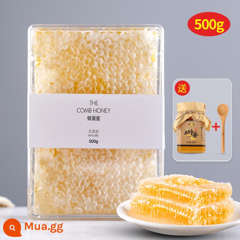 Mật ong tổ ong hộp 500g nhai và ăn mật ong nguyên chất tự nhiên trang trại mật ong đất tự làm mật ong rừng - 500g mật ong tổ ong (gói 1kg sẽ thích hơn - có thêm mật ong)