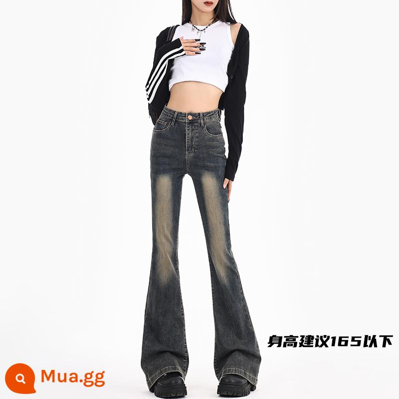 Quần jeans ống loe kiểu Mỹ cho nữ 2024 mới xuân thu dáng ôm co giãn theo phong cách cổ điển nhỏ nhắn ống loe màu sáng - Xám đá [thường]