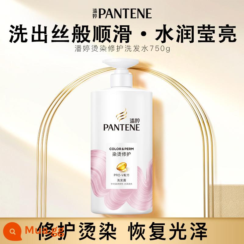 Pantene Axit Amin Trị Gàu Dầu Gội Nước Lỏng Dầu Gội Sửa Chữa Kiểm Soát Dầu Lông Tơ Dầu Tẩy Chống Ngứa 750G - [Sửa Chữa, Nhuộm Và Uốn] Dầu Gội Duy Trì Dung Tích Lớn 750g