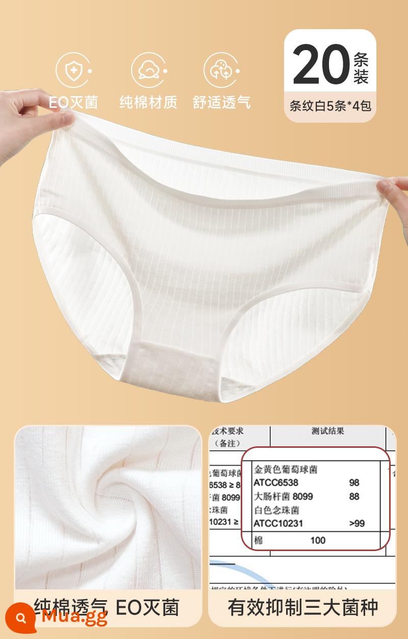 Đồ lót dùng một lần cho nữ, quần short cotton nguyên chất vô trùng, quần dành cho nam sau sinh cỡ lớn dùng một lần hàng ngày cho nam, đi du lịch và công tác, không cần giặt - [Khử trùng EO + Kháng khuẩn 3A] Áo trắng 20 sọc dành cho nữ