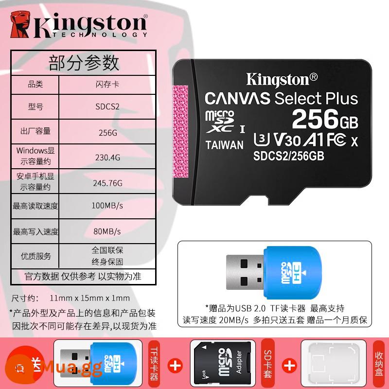 Kingston256g giám sát bộ nhớ thẻ đặc biệt Xiaomi 360 Qiao An fluorite tp-link Lechen camera tốc độ cao - Thẻ 256g đi kèm đầu đọc thẻ hộp đựng thẻ