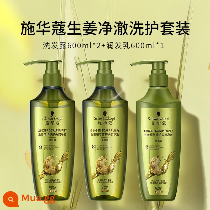 Bộ dầu gội trị gàu Schwarzkopf gừng mềm mượt dầu gội trị gàu hương thơm lâu dài - [Ginger Jingche] Dầu Gội Gừng 600ml*2 + Dầu Xả 600ml