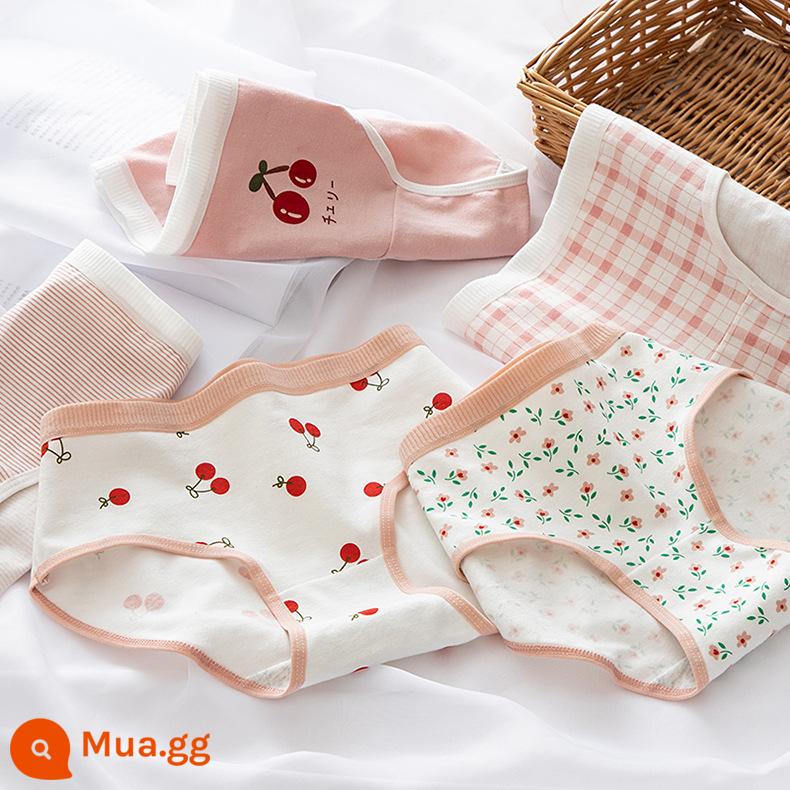 Đồ lót cotton nguyên chất cho bé gái, bé trai lớn, học sinh, quần đùi boxer tam giác trẻ em, bé gái 100% cotton không PP - Bột củ sen và quả sơ ri (5 hình tam giác)